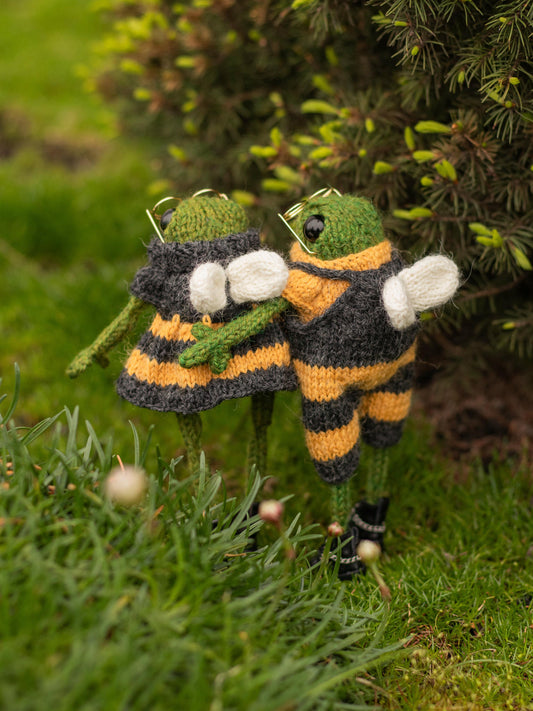 The Bzzz Frogs