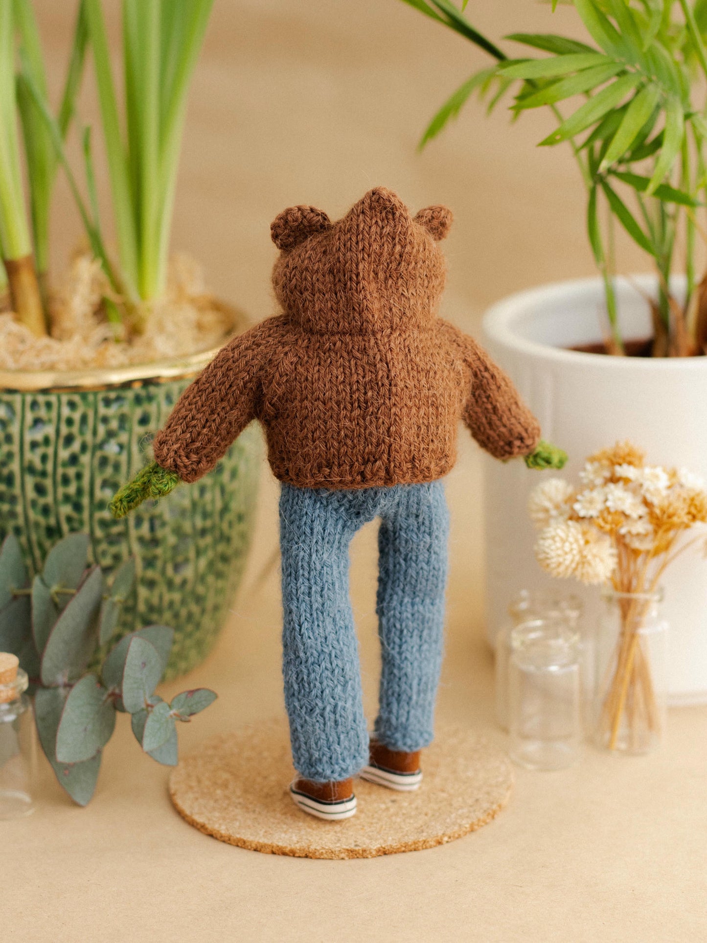 Mr. Bear Frog
