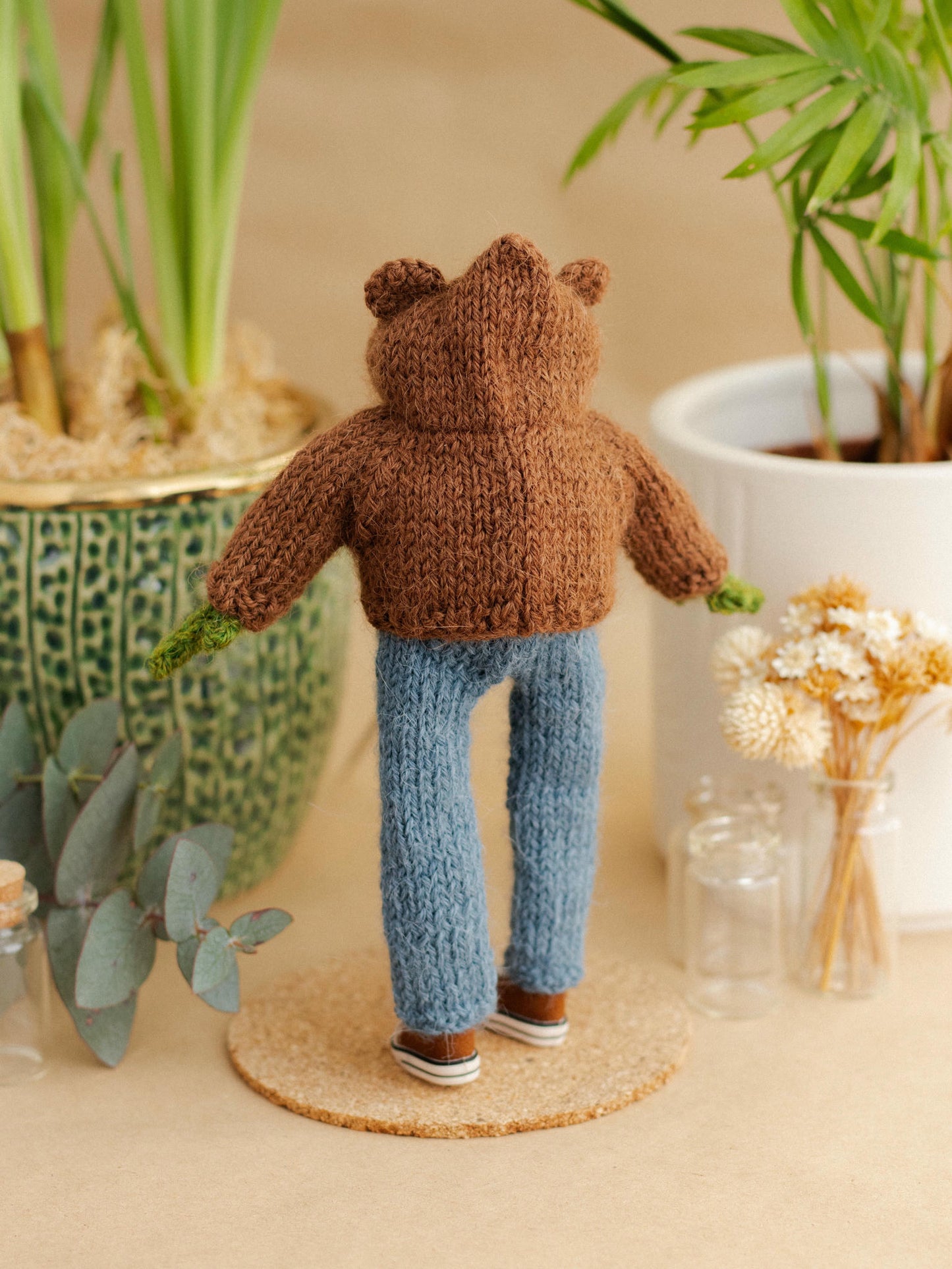 Mr. Bear Frog Outfit