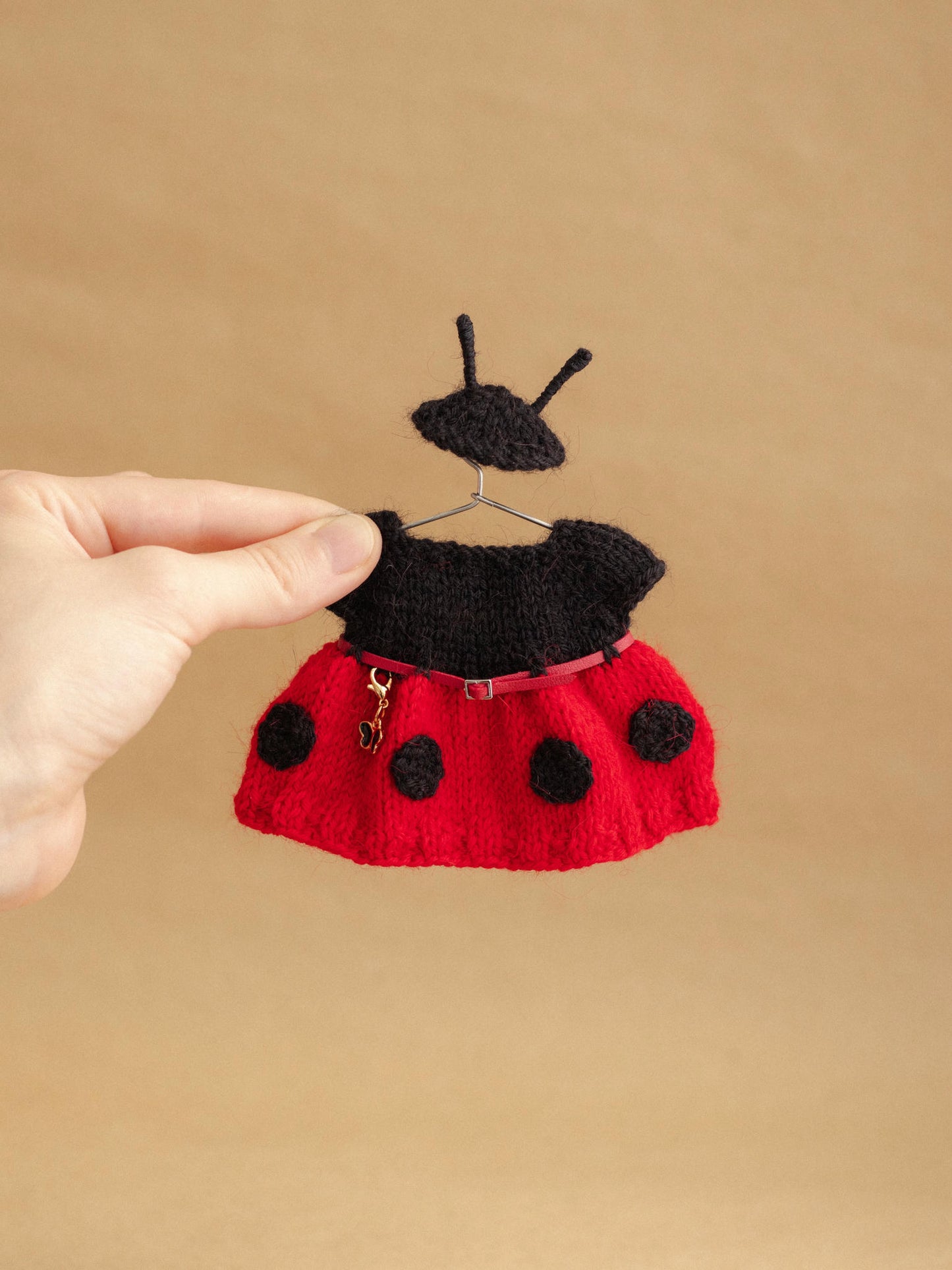 Miss Ladybug Outfit