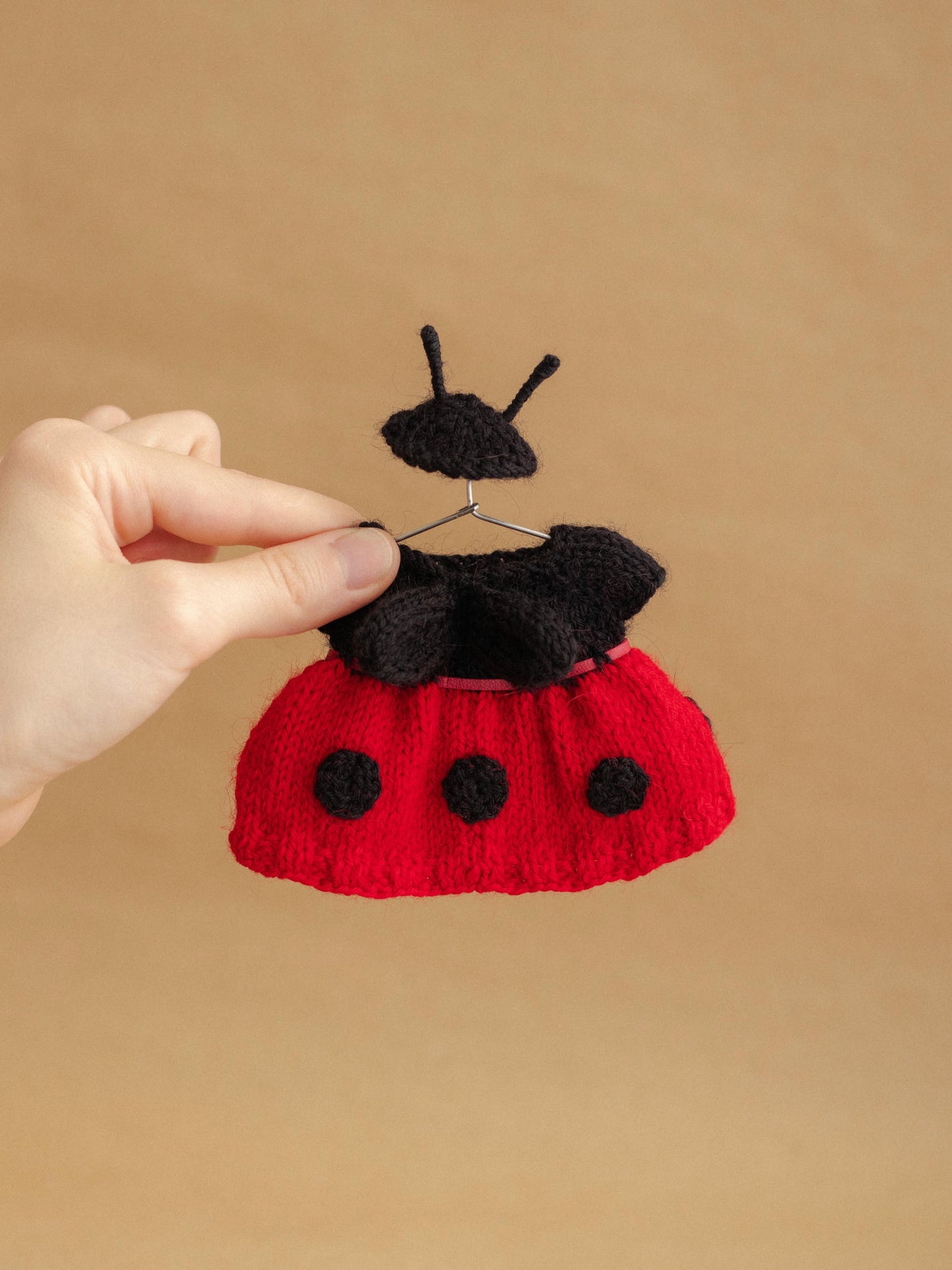 Miss Ladybug Outfit