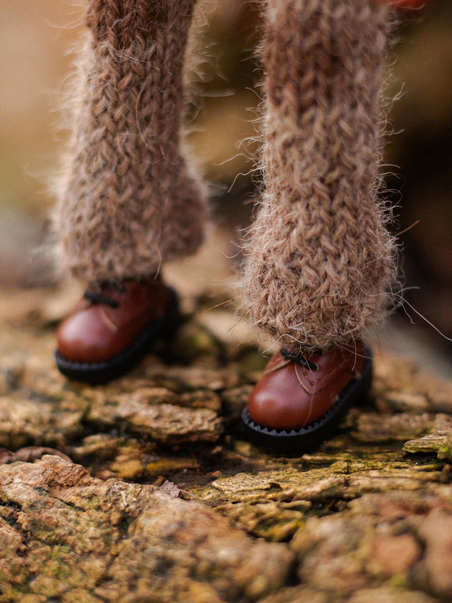 Classic Brown Shoes