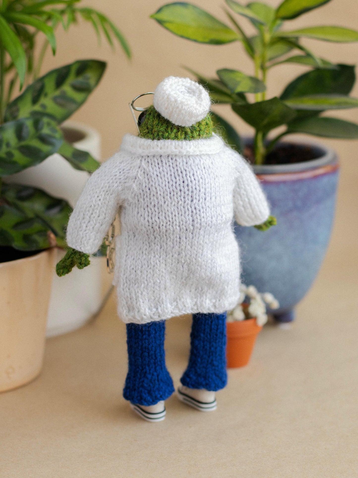 Dr. Froggy