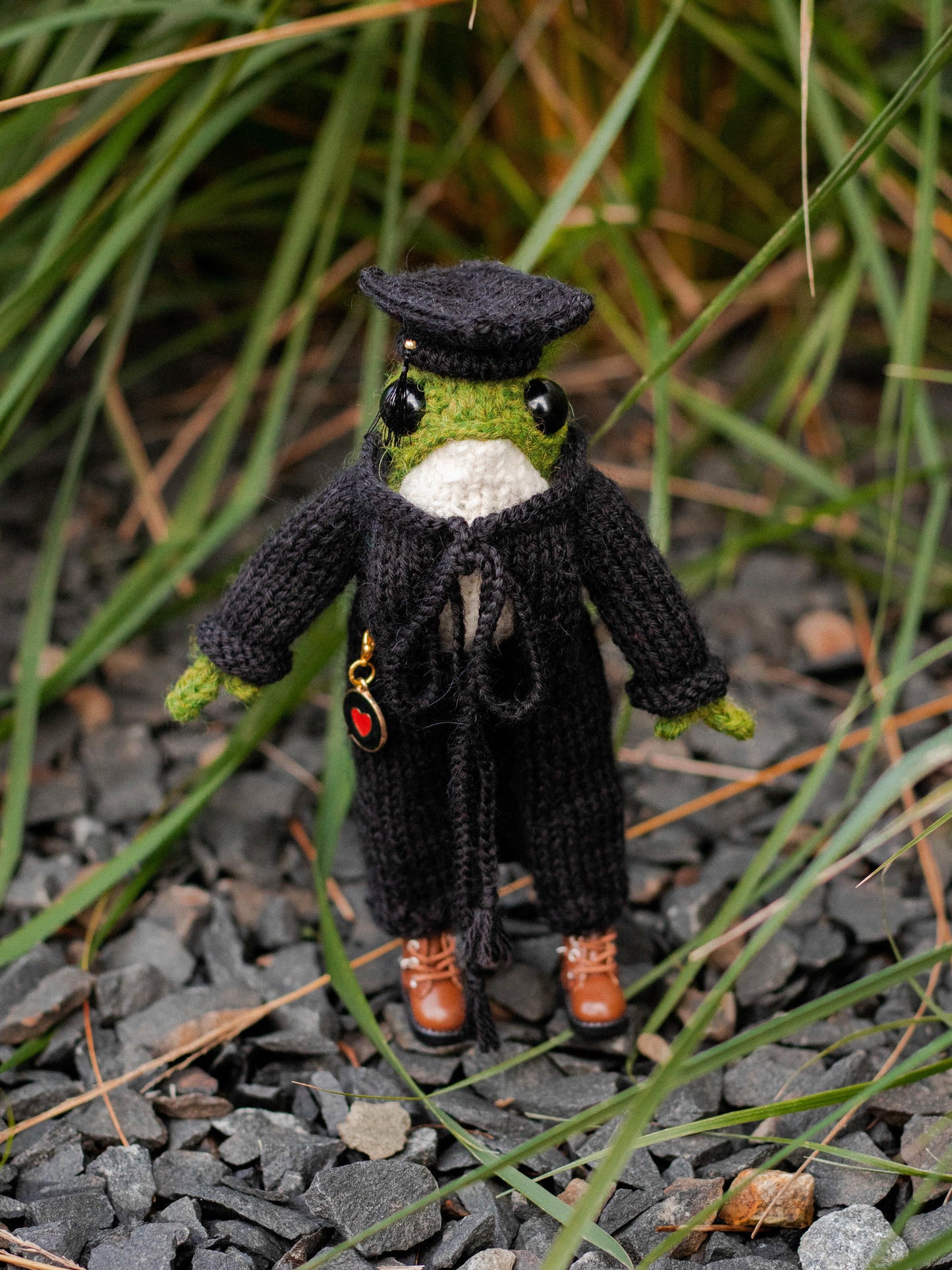 The Graduation Frog