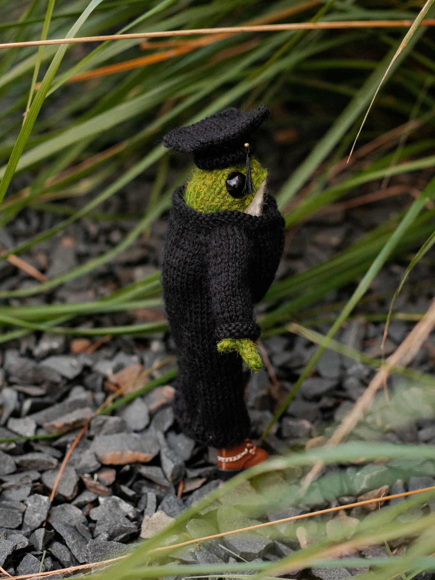 The Graduation Frog