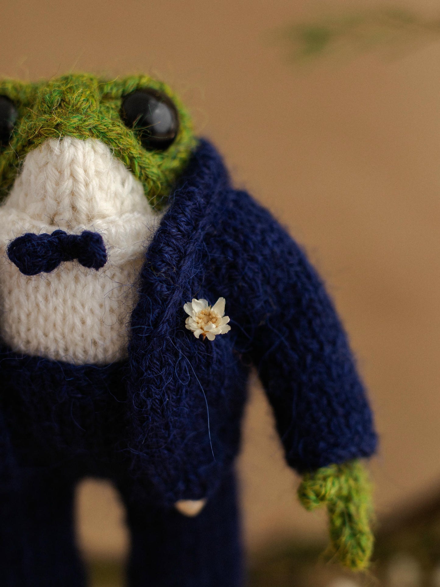 Just Married Frogs