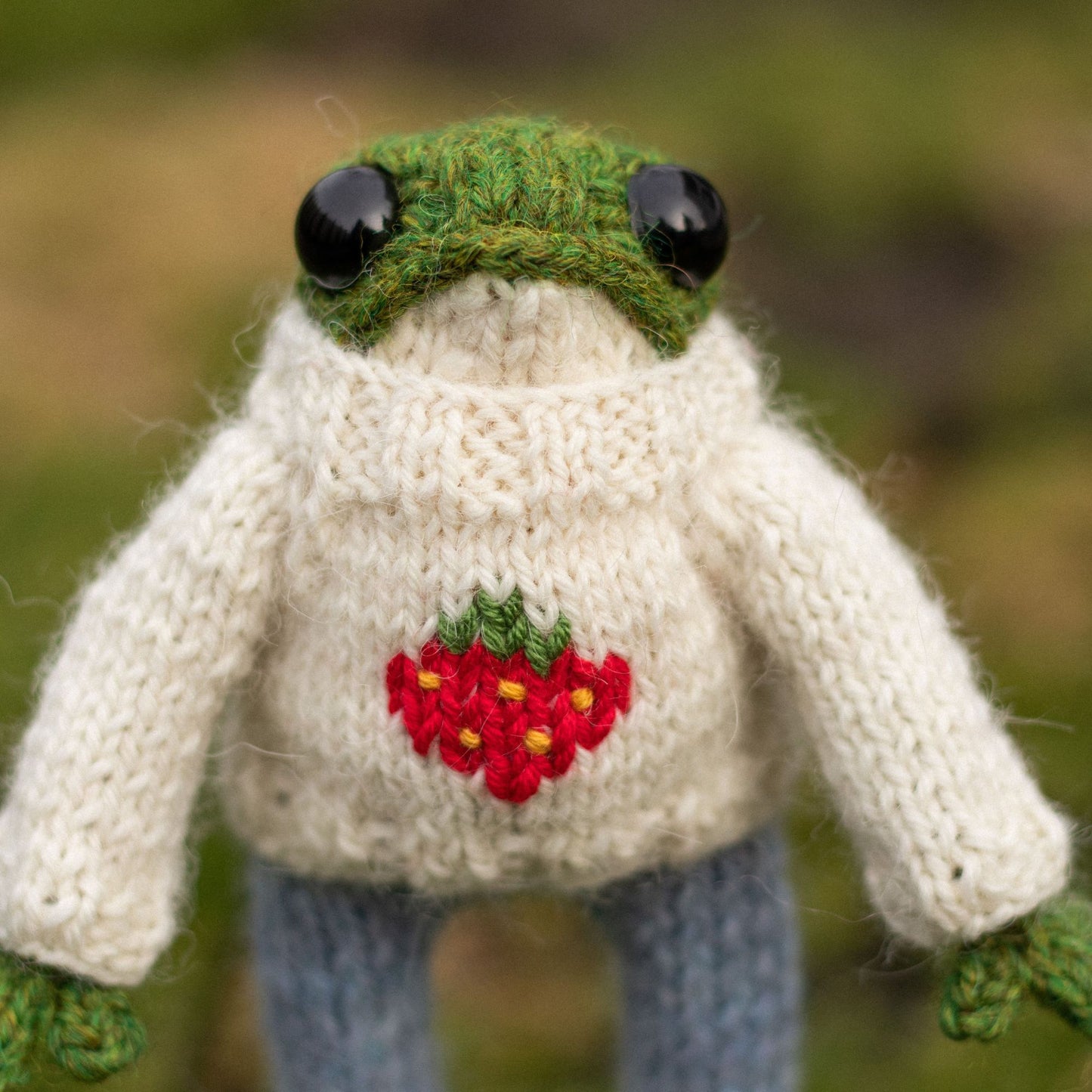 Frog Sweater Knitting Pattern for Knitted Frog (PDF)