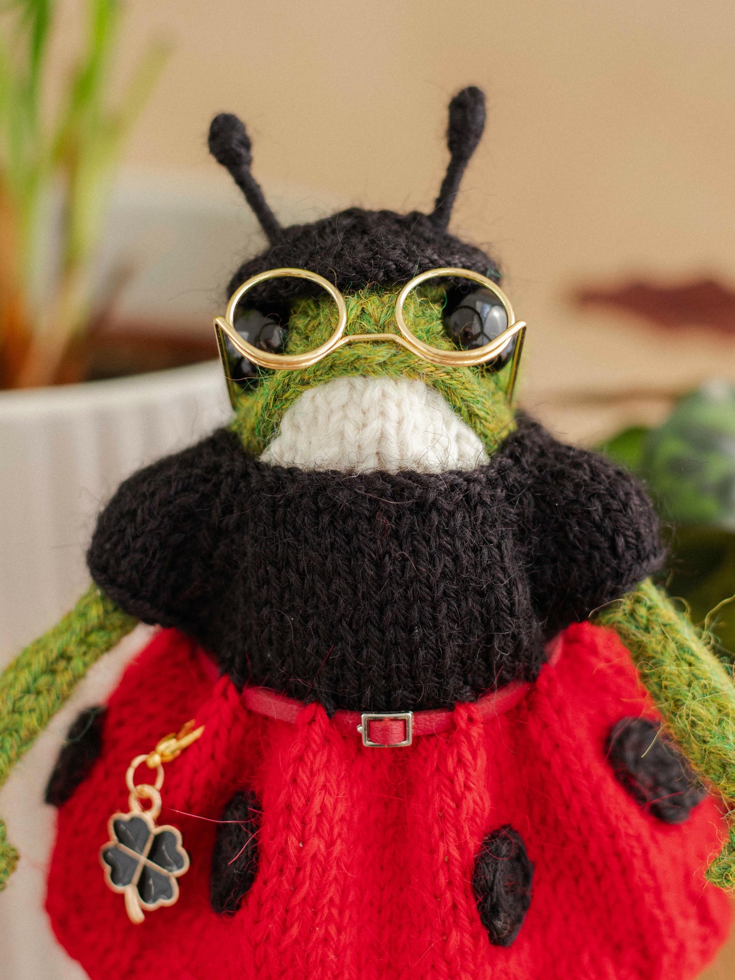 Miss Ladybug Frog