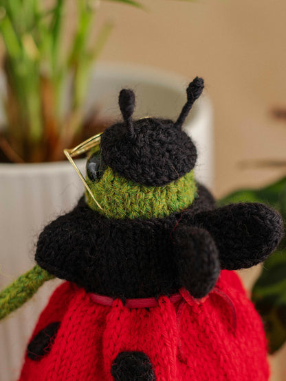 Miss Ladybug Frog