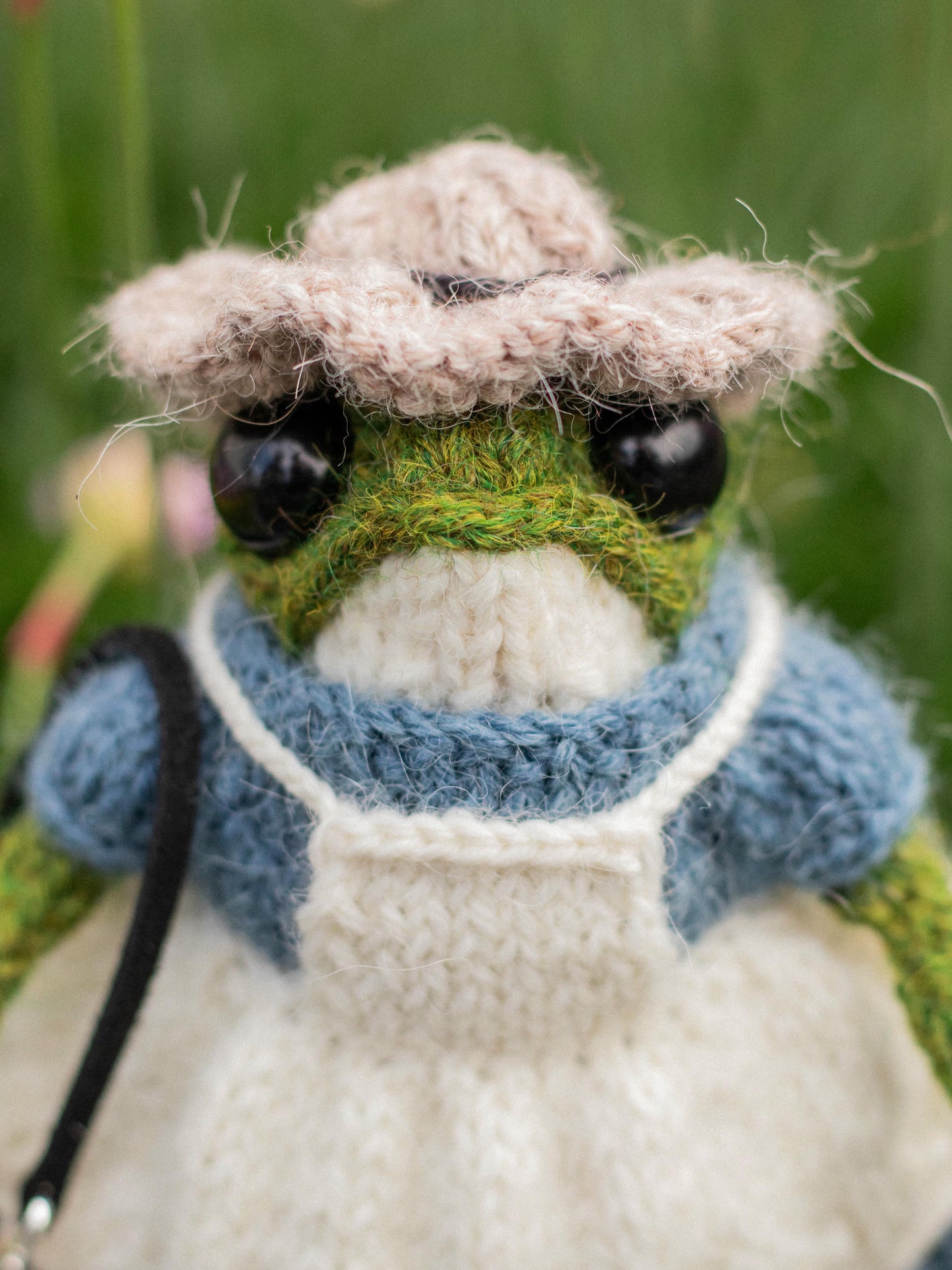 Madame Aster Frog