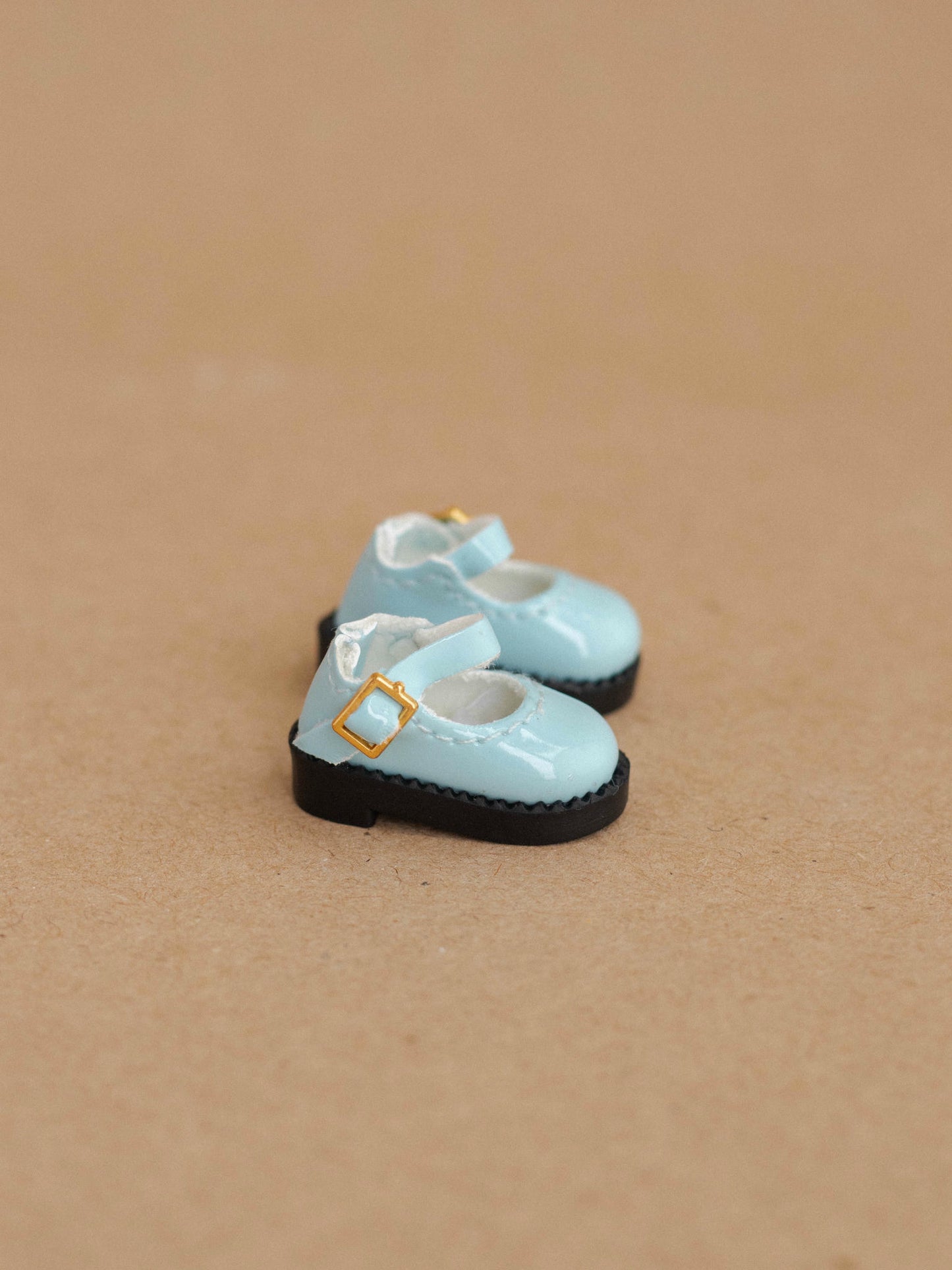 Blue MaryJane Shoes