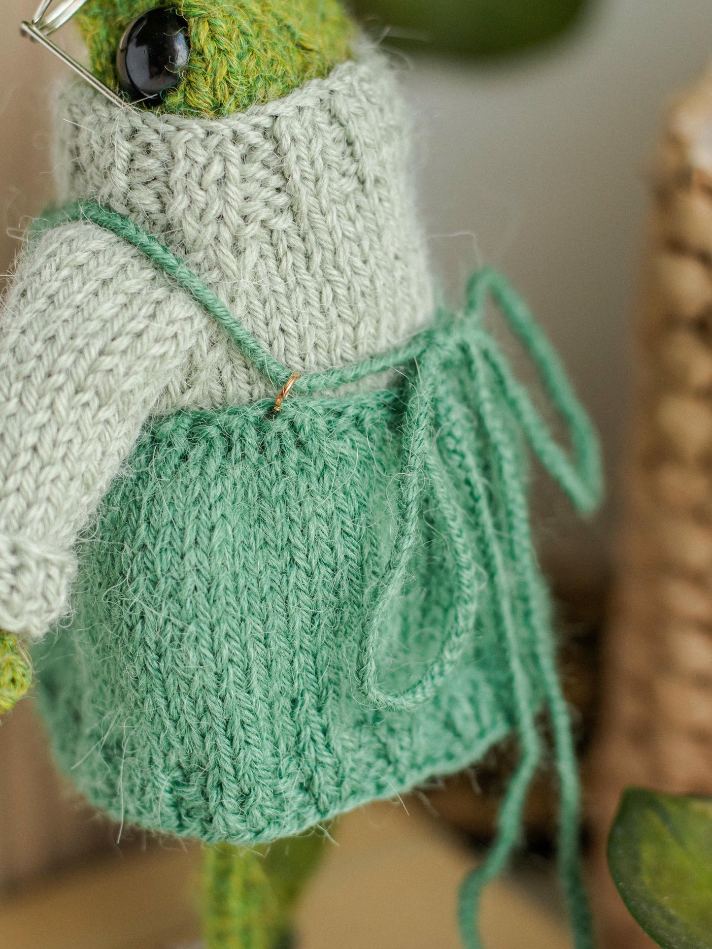 Miss Garden Frog