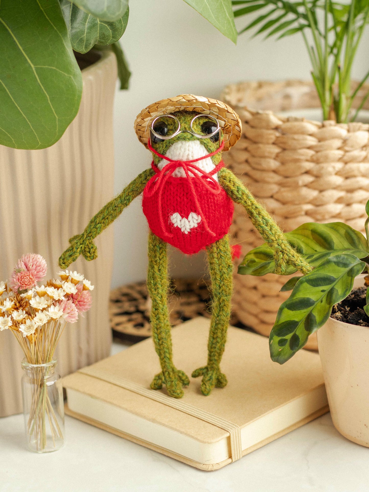Miss Red Swimmy Frog