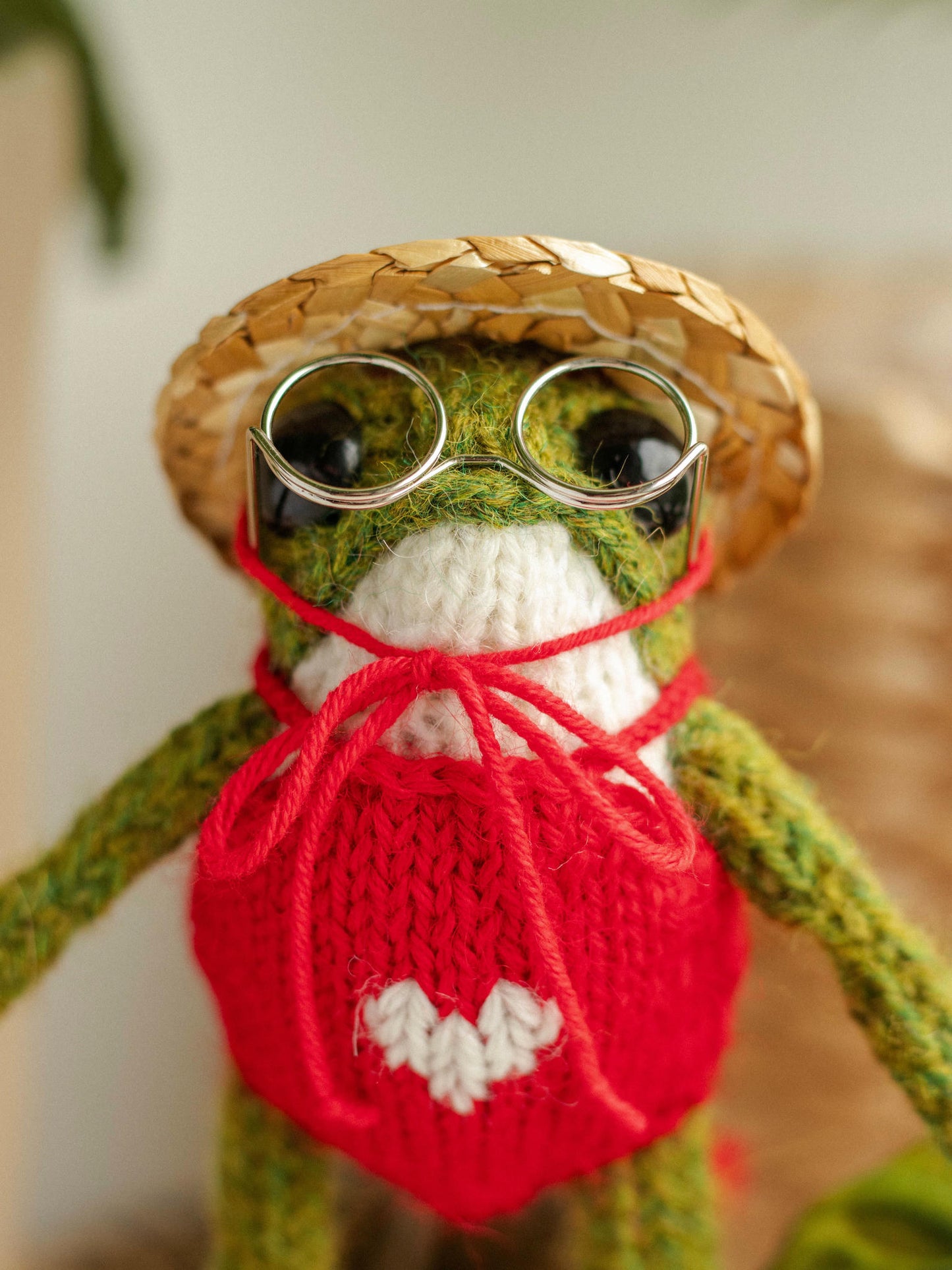Miss Red Swimmy Frog