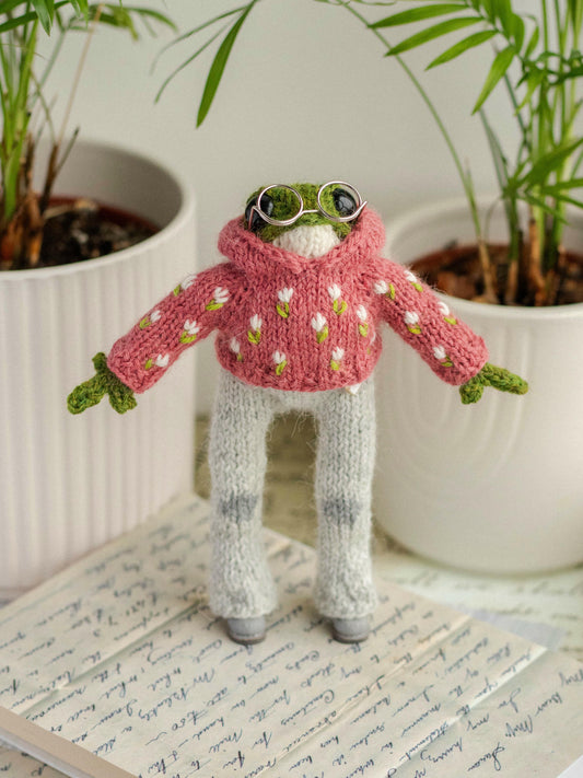 Mr. Spring Frog