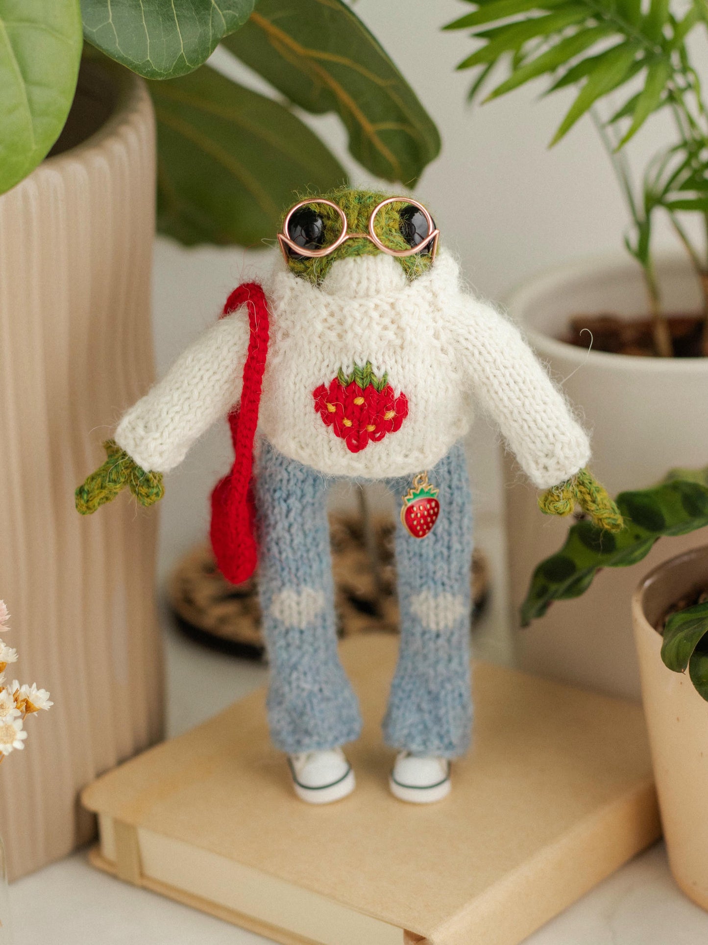 Mr. Strawberry Frog