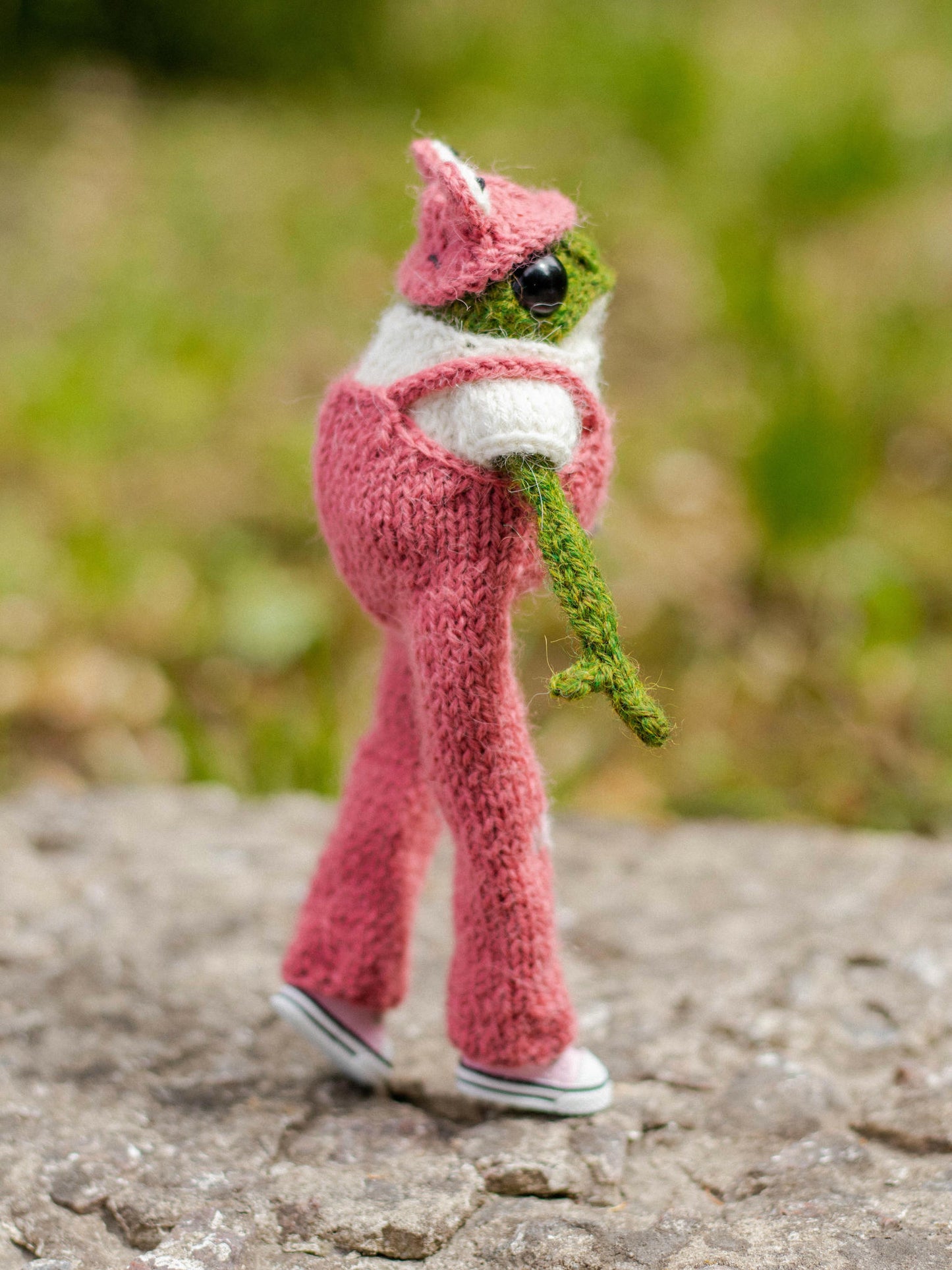 Mr. Tulip Frog