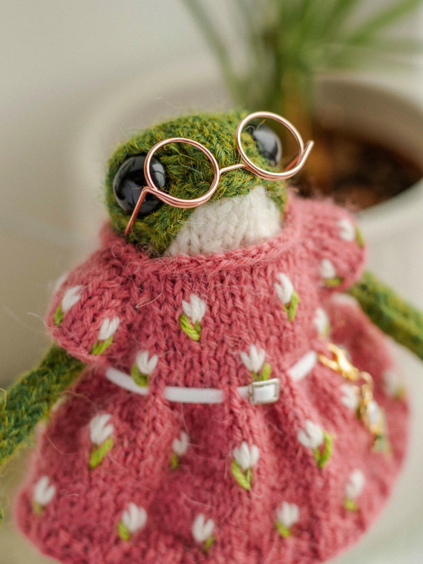 Mrs. Spring Frog